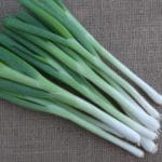 ONION Spring Onion White Lisbon Winter Hardy
