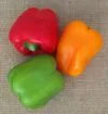 PEPPER Californian Wonder