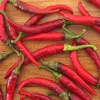 PEPPER Ring of Fire