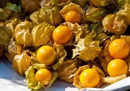 CAPE GOOSEBERRY