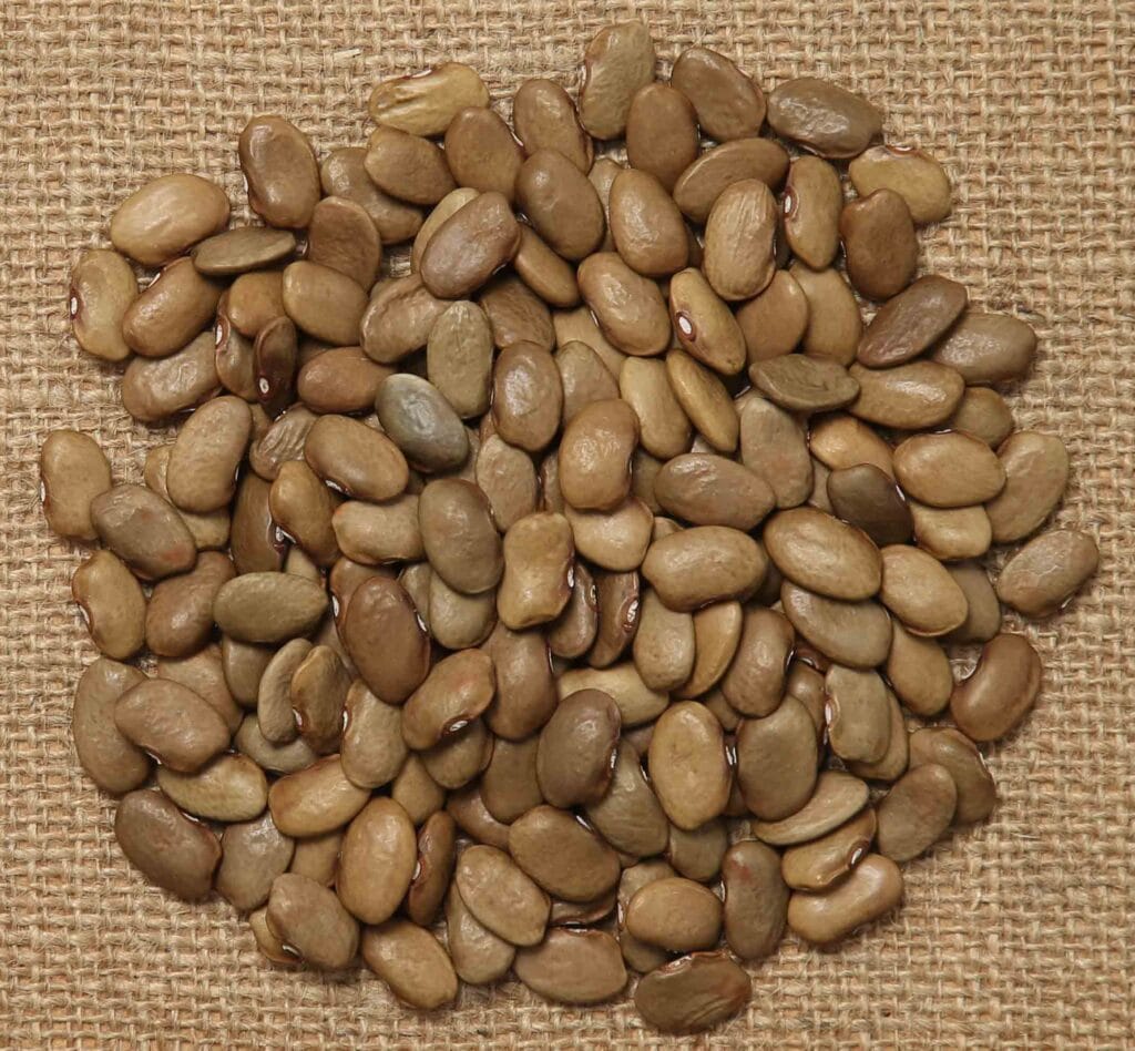 FAT GOOSE Beans and Herbs