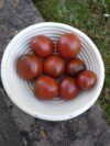TOMATO Paul Robeson